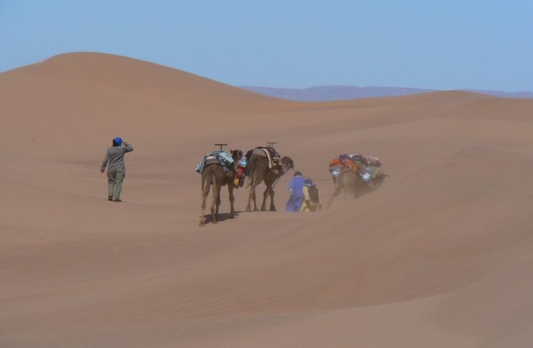 Circuits au départ d’Ouarzazate