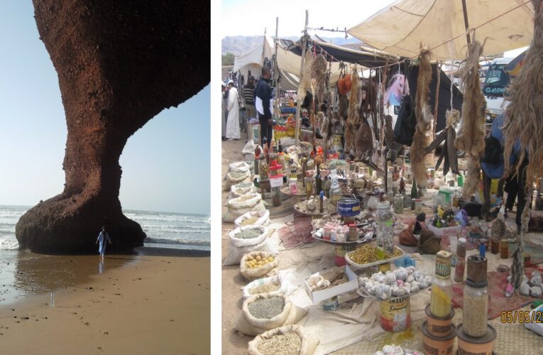 excursions au départ d agadir