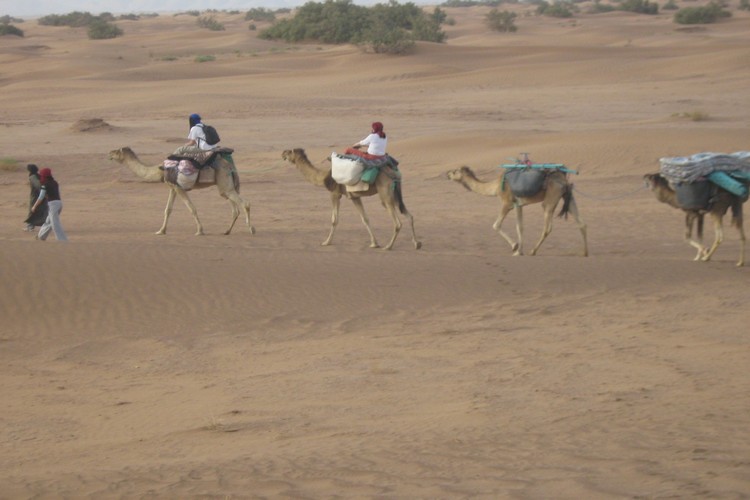 Rando départ M&rsquo;hamid