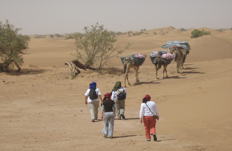 trek au sahara